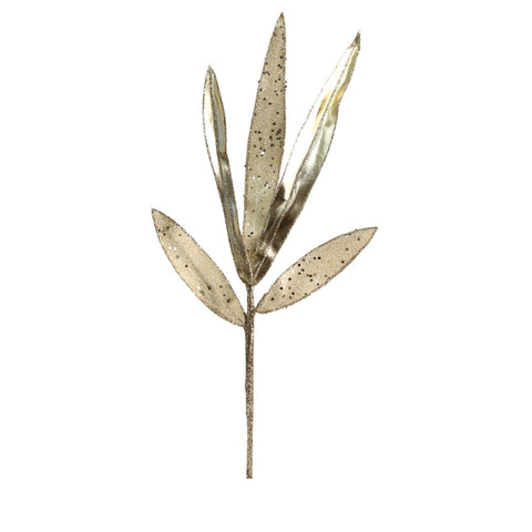 CHAMPAGNE SHOES BRANCH
