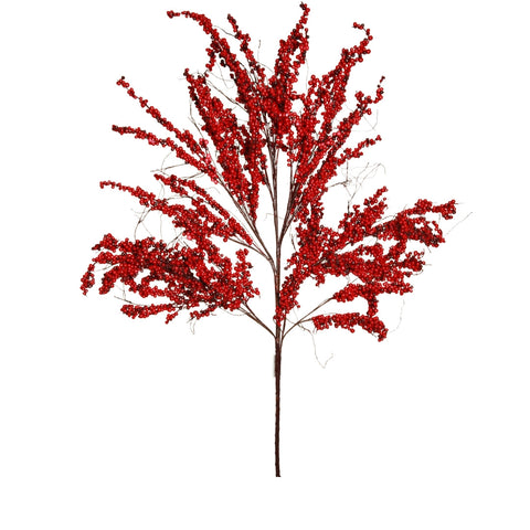 DEGE BERRIES XL