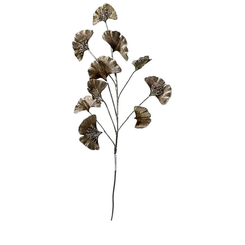 BROWN LEAVES BRANCH