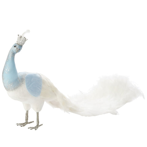 WHITE AND BLUE PEACOCK