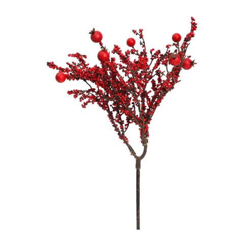 BRANCH WITH BERRIES