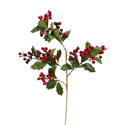 BRANCH WITH RED BERRIES