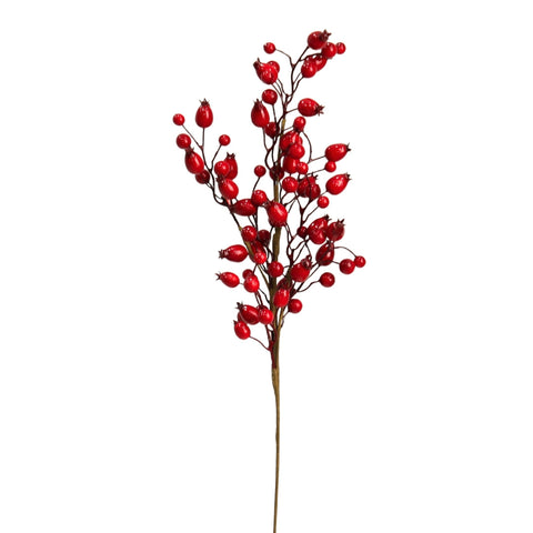 BRANCH WITH BERRIES