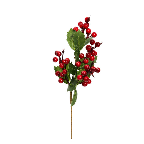BRANCH WITH BERRIES AND LEAVES