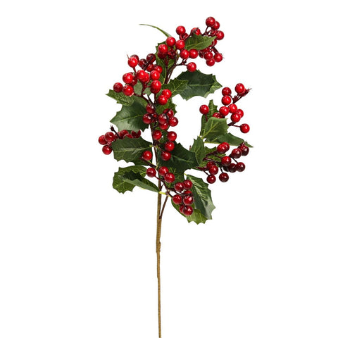 BRANCH WITH RED BERRIES