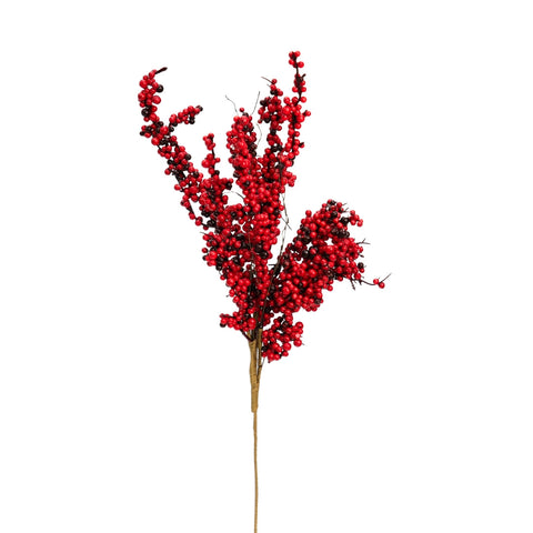 RED BERRIES BRANCH