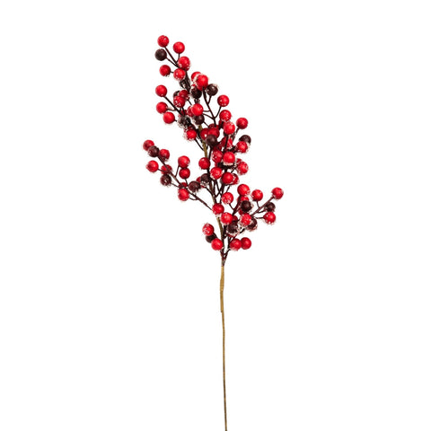 BERRIES BRANCH WITH SNOW