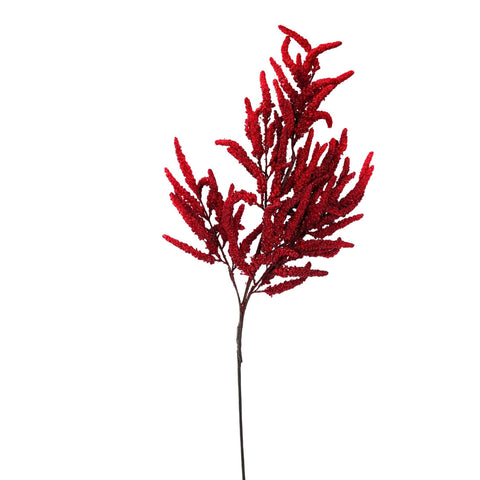 RED WHEAT BRANCH