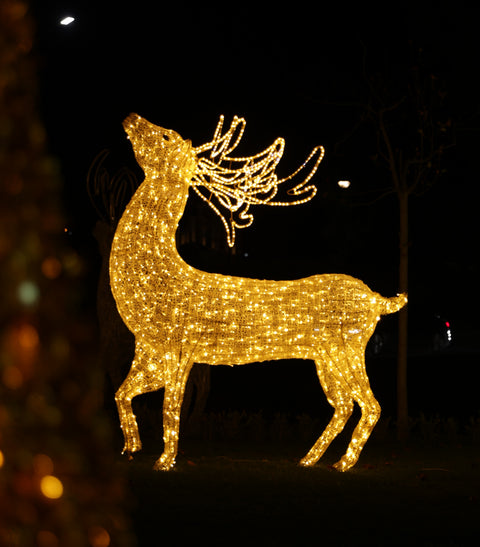 CHRISTMAS DEER 250x180CM