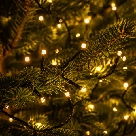 Christmas Lights