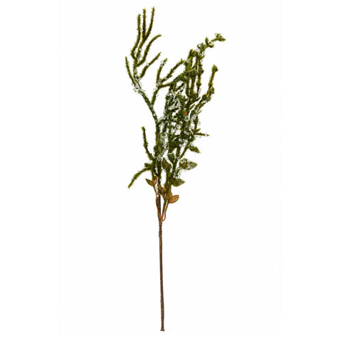 DEGË JESHILE ME XIXA 50 CM