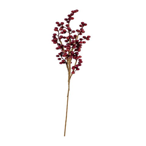 DEGË ME KOKRRA KAFE, LARTËSI 66 CM