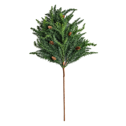 ARAUCARIA WITH PINECONE STEM, H 104 CM
