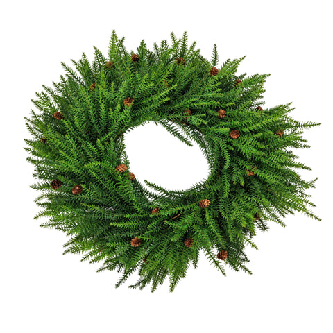 ARAUCARIA WITH PINECONE WREATH, D 81 CM