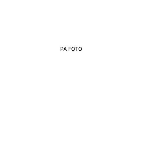 DEGË AMARANTUS E KUQE, LARTËSI 108 CM