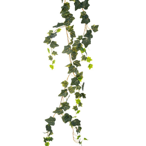 HEDERA - Branch 