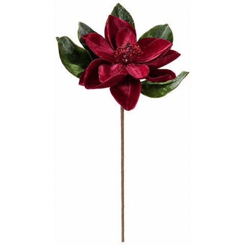 GARNET MAGNOLIA – M