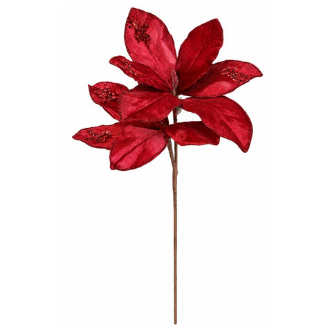 DEGË ME GJETHE MAGNOLIE VISHNJE