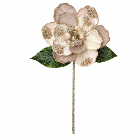 Magnolie dekorative shampanjë/ari – l – dekor Krishtlindjesh