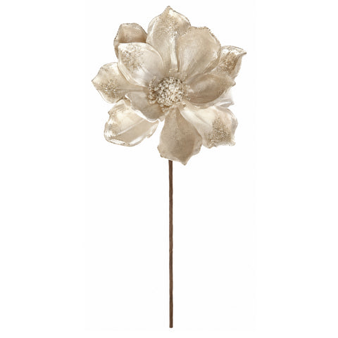 MAGNOLIA PERLË L
