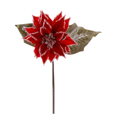 LULE POINSETTIA ME AKULL