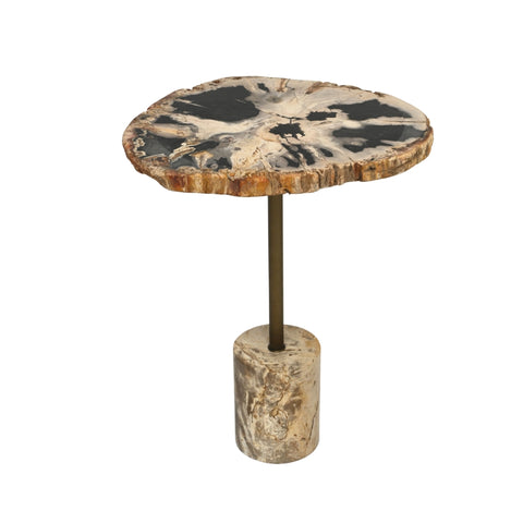 REX Side Table with Petrified Wood & Stainless Steel